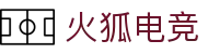 火狐电竞 - 助你从观赛到懂赛的进阶指南